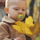 Philips AVENT Залъгалки Ultra Air 18м+ маймунка/жаба, синьо/жълто, за момче 2 бр. със стерилизаторна кутия plant based