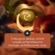 Ортодонтични залъгалки, Tommee Tippee, Night Glow, 2бр/оп, светеща дръжка, лилави/розови, 6-18м